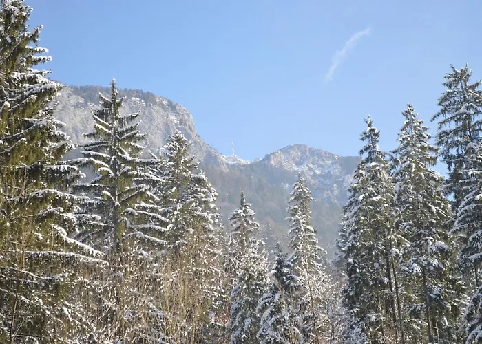 Oitzl Дом отдыха